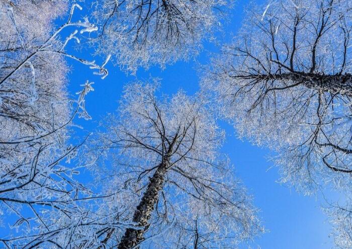 冬天简单干净的文案