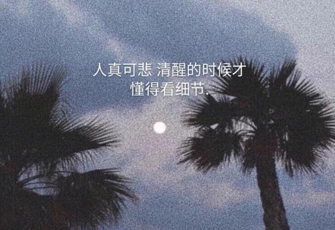 情感文案壁纸
