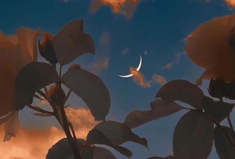 设计人员相关文案