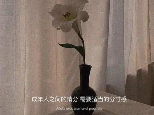 引起共鸣的简短文案