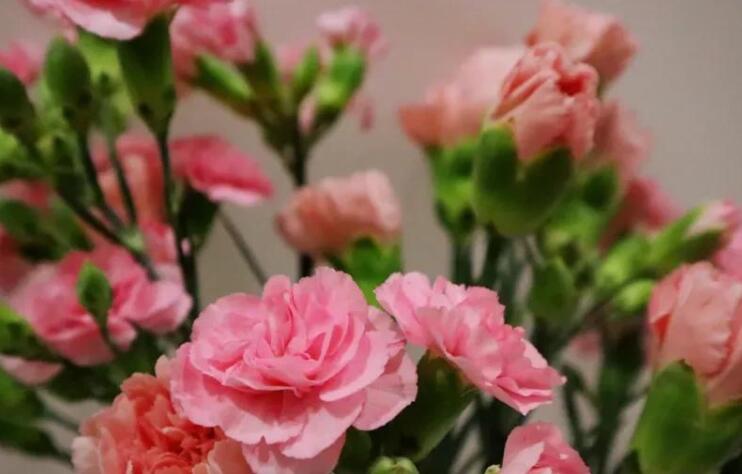 感谢妈妈的话暖心文案