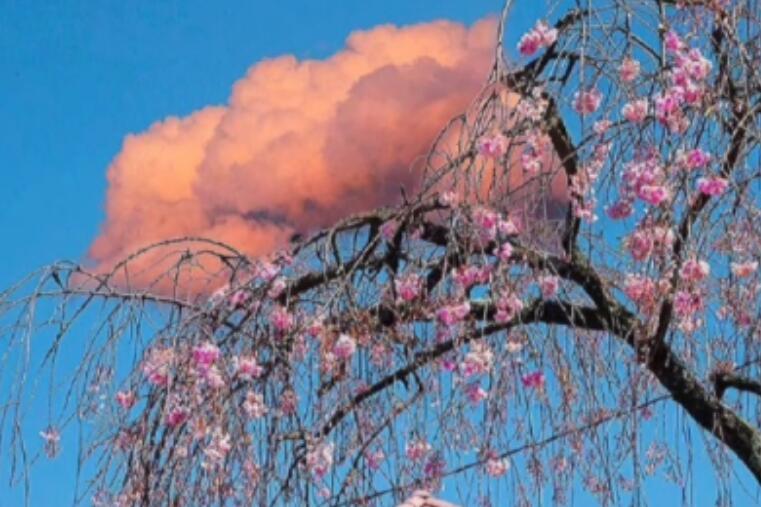 关于男朋友的文案搞笑