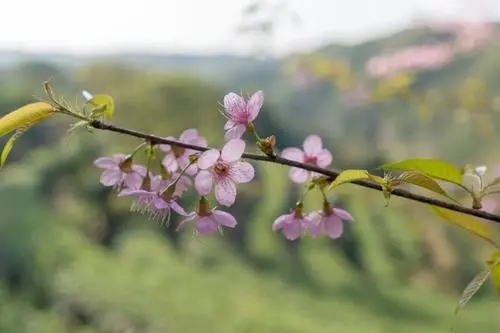 库存视频发朋友圈的文案