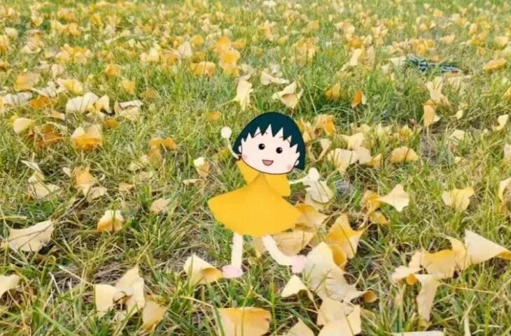 朋友圈今日开心文案