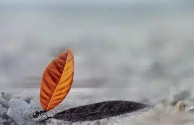 养生发朋友圈文案