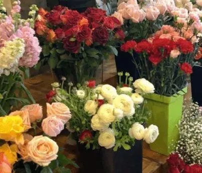 抖音陌生人送花的文案