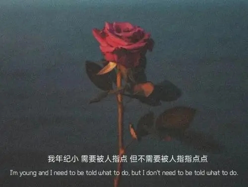 高冷的文案短句子