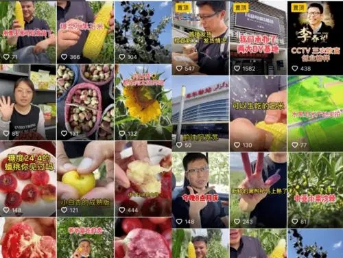 抖音卖农产品文案