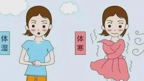 冬病夏治朋友圈文案