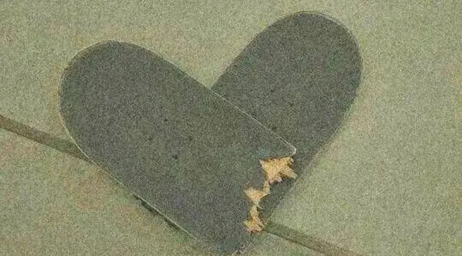 朋友生日时发的沙雕文案