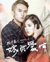 电影《致青春之嫁给爱情》经典台词文案和名句语录