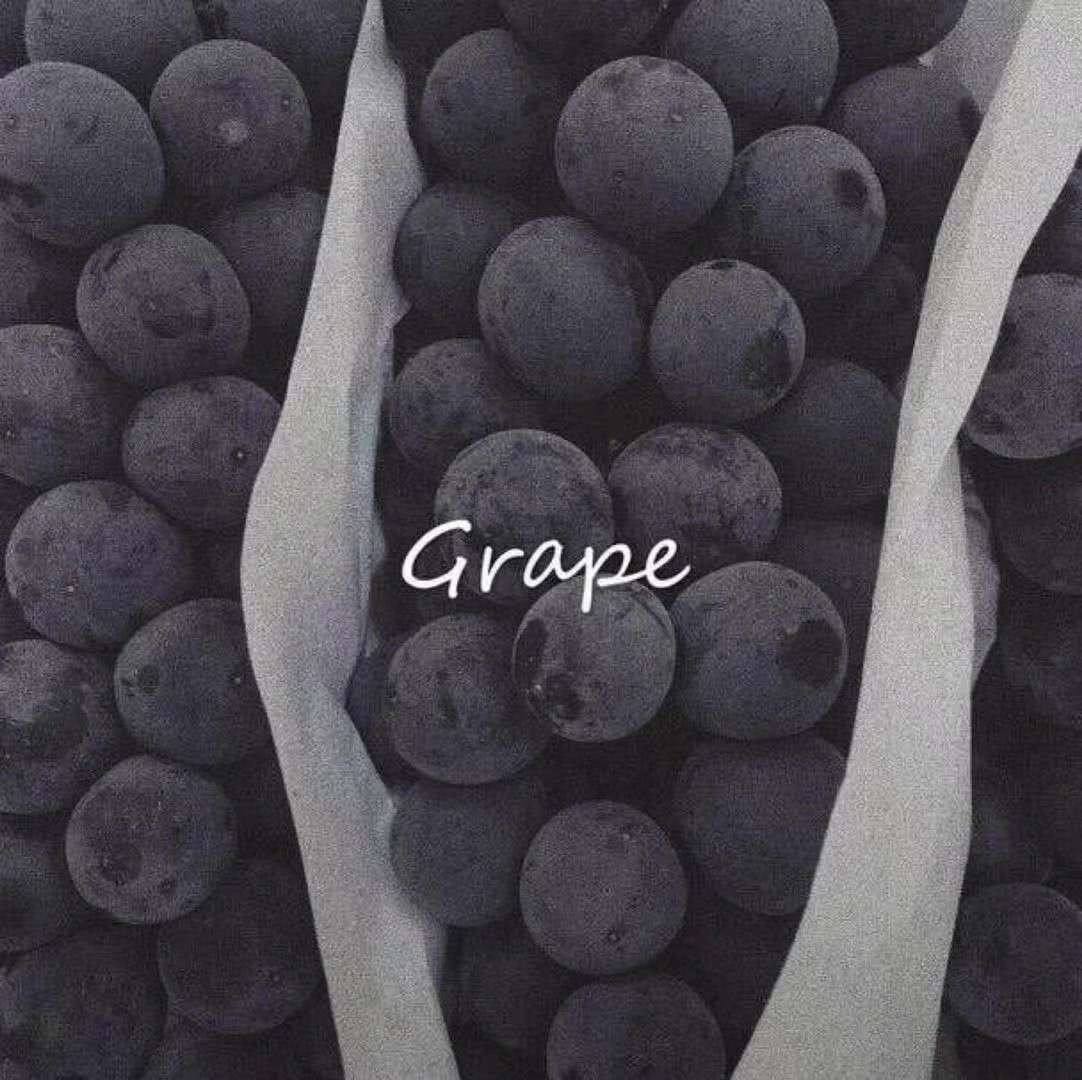 电影《追风筝的人》经典台词文案和名句语录