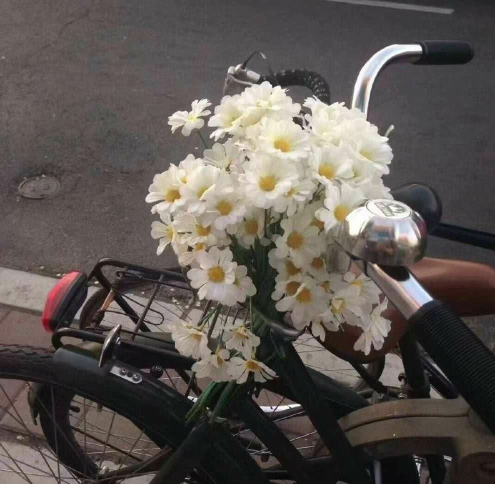 电影《八佰》经典台词文案和名句语录