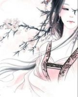 小说《天是红尘岸》经典语录文案和名句摘抄