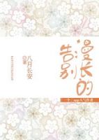 小说《漫长的道别》经典语录文案和名句摘抄