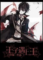 小说《王子遇上王》经典语录文案和名句摘抄