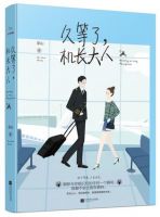 小说《久等了，机长大人》经典语录文案和名句摘抄