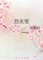 小说《烈炎璧》经典语录文案和名句摘抄