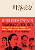 小说《叶落长安》经典语录文案和名句摘抄