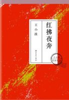 小说《红拂夜奔》经典语录文案和名句摘抄