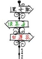 小说《黑女配，绿茶婊，白莲花》经典语录文案和名句摘抄