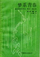 小说《梦系青春》经典语录文案和名句摘抄