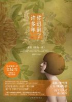 小说《你迟到了许多年》经典语录文案和名句摘抄