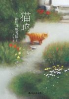 小说《猫鸣》经典语录文案和名句摘抄