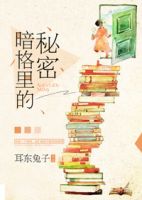 小说《暗格里的秘密》经典语录文案和名句摘抄