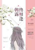 小说《朝露终相逢》经典语录文案和名句摘抄