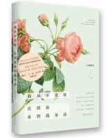 小说《我从不柔软，直到你来到我身边》经典语录文案和名句摘抄