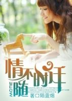 小说《情不随时迁》经典语录文案和名句摘抄