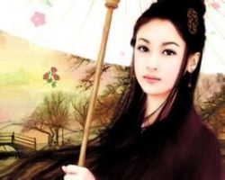 小说《废后将军》经典语录文案和名句摘抄