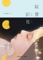 小说《似曾识我》经典语录文案和名句摘抄