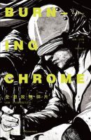 小说《全息玫瑰碎片》经典语录文案和名句摘抄