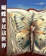 小说《蝴蝶来过这世界》经典语录文案和名句摘抄