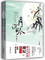 小说《月沉吟》经典语录文案和名句摘抄