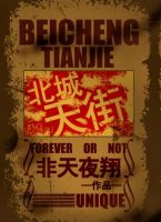 小说《北城天街》经典语录文案和名句摘抄