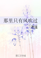 小说《那里只有风吹过》经典语录文案和名句摘抄