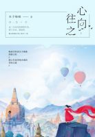 小说《心向往之》经典语录文案和名句摘抄