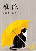 小说《唯有你如此不同》经典语录文案和名句摘抄