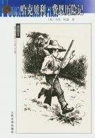 小说《哈克贝利・费恩历险记》经典语录文案和名句摘抄