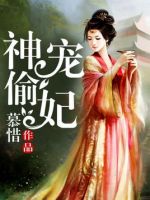 小说《上了偷宠妃》经典语录文案和名句摘抄