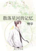 小说《散落星河的记忆》经典语录文案和名句摘抄