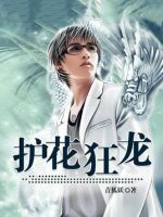 小说《护花狂龙》经典语录文案和名句摘抄