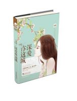 小说《深爱你这城》经典语录文案和名句摘抄