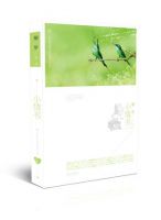 小说《小情书》经典语录文案和名句摘抄