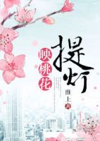 小说《提灯映桃花》经典语录文案和名句摘抄