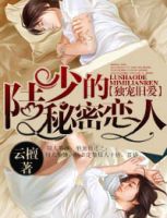 小说《独宠旧爱陆少的秘密恋人》经典语录文案和名句摘抄