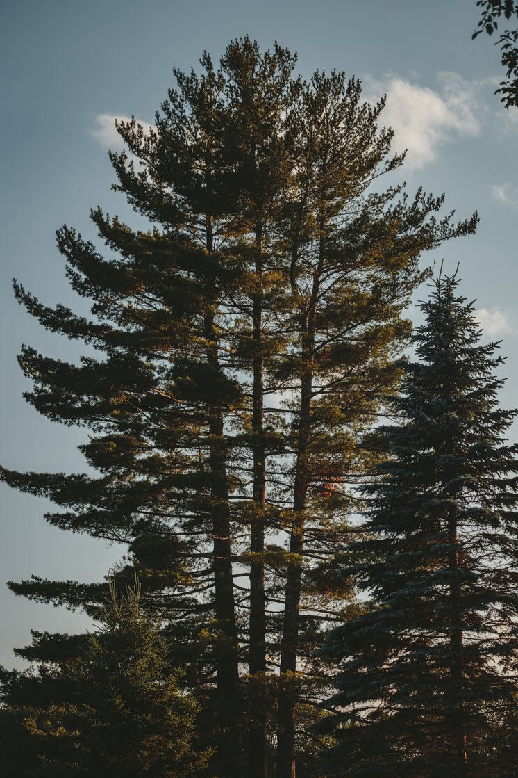 小说《银河帝国：基地》经典语录文案和名句摘抄